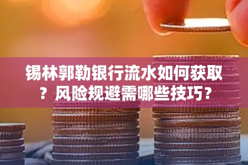 锡林郭勒银行流水如何获取?风险规避需哪些技巧?