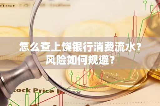 怎么查上饶银行消费流水?风险如何规避?