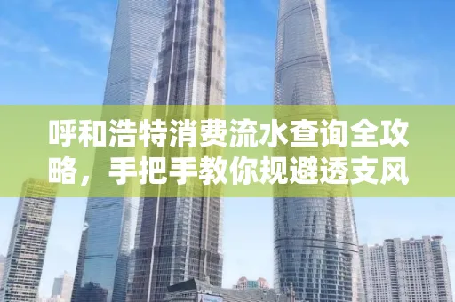 呼和浩特消费流水查询全攻略,手把手教你规避透支风险