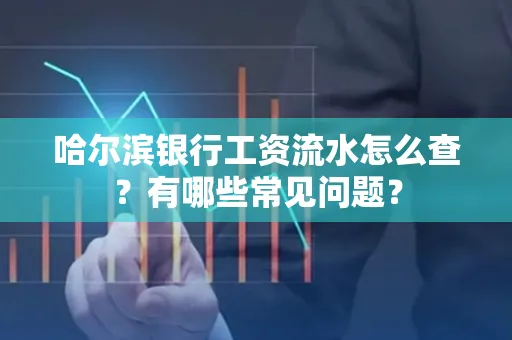 哈尔滨银行工资流水怎么查?有哪些常见问题? 哈尔滨银行工资流水怎么查?有哪些常见问题?