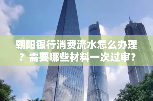朝阳银行消费流水怎么办理?需要哪些材料一次过审?
