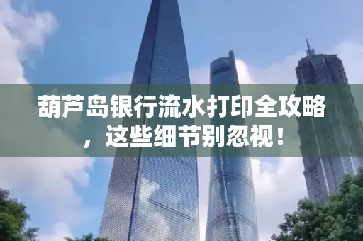 葫芦岛银行流水打印全攻略,这些细节别忽视!