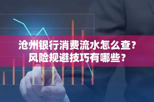 沧州银行消费流水怎么查？风险规避技巧有哪些？
