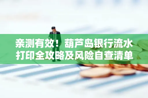 亲测有效!葫芦岛银行流水打印全攻略及风险自查清单