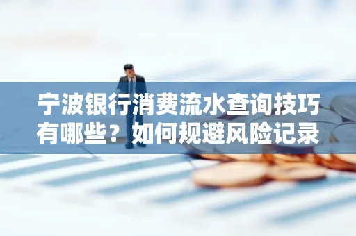 宁波银行消费流水查询技巧有哪些?如何规避风险记录?