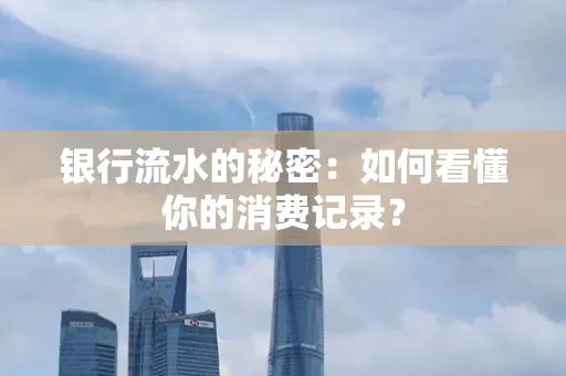 银行流水的秘密:如何看懂你的消费记录?