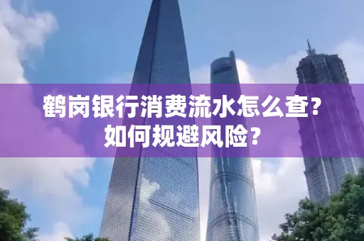 鹤岗银行消费流水怎么查?如何规避风险?