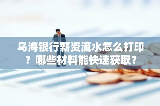 乌海银行薪资流水怎么打印?哪些材料能快速获取?