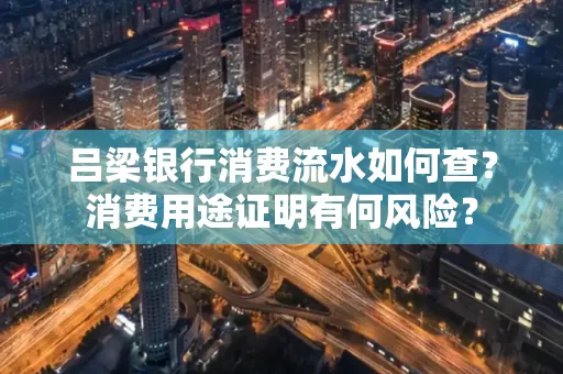 吕梁银行消费流水如何查?消费用途证明有何风险?