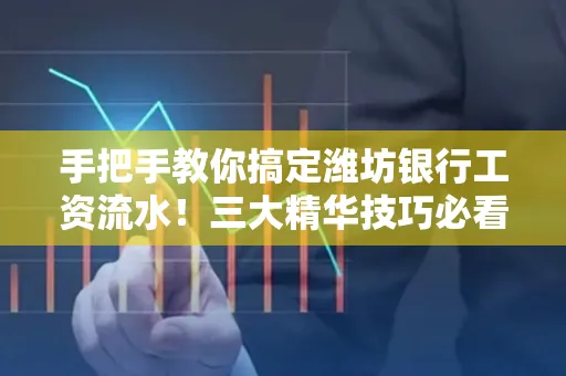 手把手教你搞定潍坊银行工资流水!三大精华技巧必看