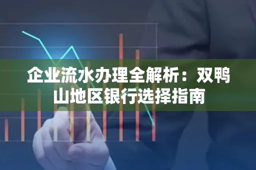 企业流水办理全解析:双鸭山地区银行选择指南