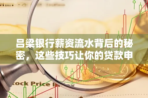 吕梁银行薪资流水背后的秘密,这些技巧让你的贷款申请快人一步