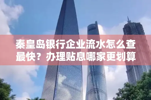 秦皇岛银行企业流水怎么查最快？办理贴息哪家更划算？