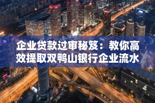 企业贷款过审秘笈:教你高效提取双鸭山银行企业流水