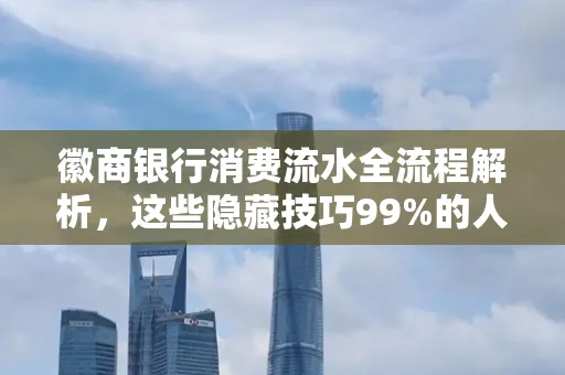 徽商银行消费流水全流程解析,这些隐藏技巧99%的人不知道