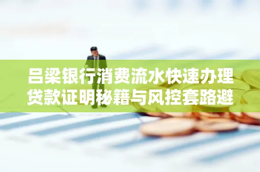 吕梁银行消费流水快速办理贷款证明秘籍与风控套路避坑指南