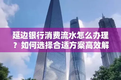 延边银行消费流水怎么办理？如何选择合适方案高效解决？