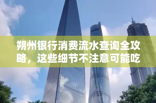 朔州银行消费流水查询全攻略,这些细节不注意可能吃大亏