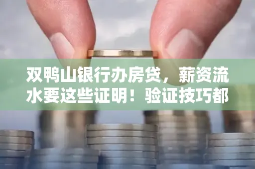 双鸭山银行办房贷,薪资流水要这些证明!验证技巧都在这里!