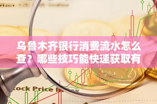 乌鲁木齐银行消费流水怎么查?哪些技巧能快速获取有效信息?