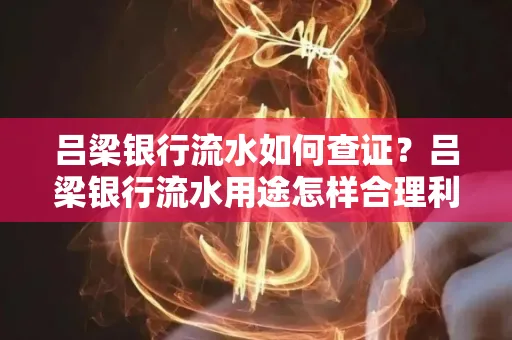 吕梁银行流水如何查证?吕梁银行流水用途怎样合理利用?