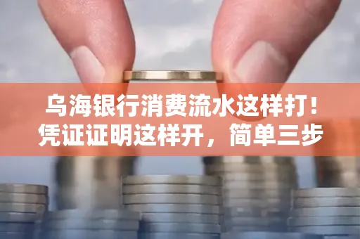 乌海银行消费流水这样打!凭证证明这样开,简单三步轻松搞定