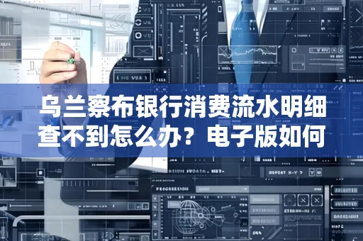 乌兰察布银行消费流水明细查不到怎么办?电子版如何获取攻克技巧?
