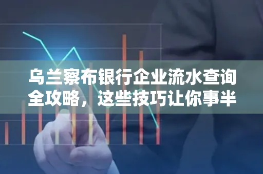 乌兰察布银行企业流水查询全攻略,这些技巧让你事半功倍