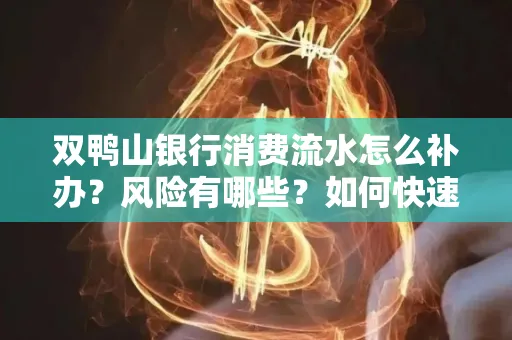 双鸭山银行消费流水怎么补办？风险有哪些？如何快速处理？