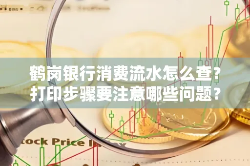 鹤岗银行消费流水怎么查？打印步骤要注意哪些问题？