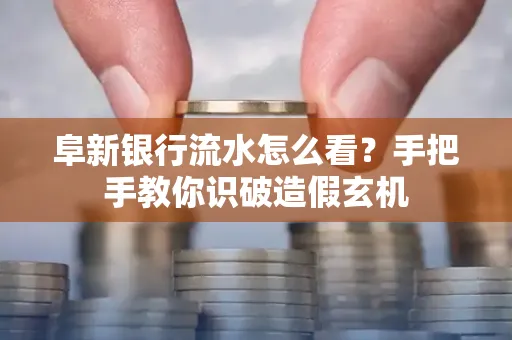 阜新银行流水怎么看?手把手教你识破造假玄机
