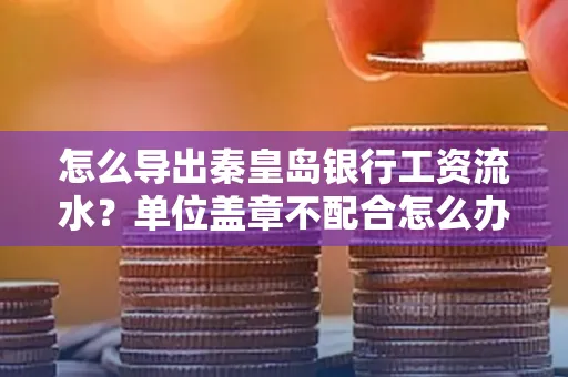 怎么导出秦皇岛银行工资流水?单位盖章不配合怎么办?