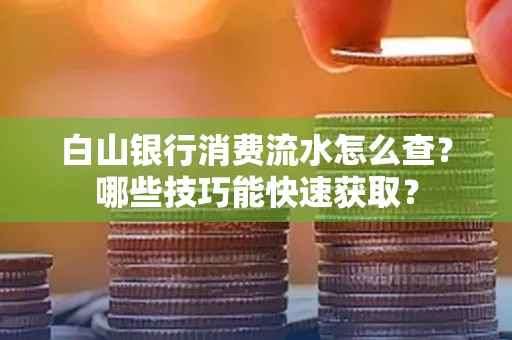 白山银行消费流水怎么查?哪些技巧能快速获取?