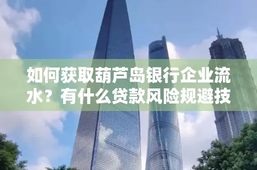 如何获取葫芦岛银行企业流水?有什么贷款风险规避技巧?