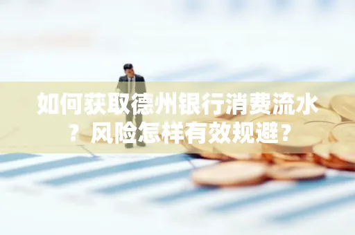 如何获取德州银行消费流水?风险怎样有效规避?