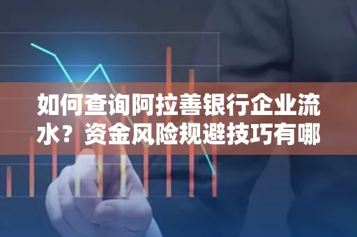 如何查询阿拉善银行企业流水?资金风险规避技巧有哪些?