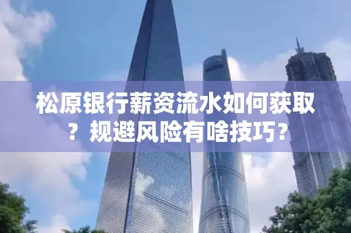 松原银行薪资流水如何获取?规避风险有啥技巧?