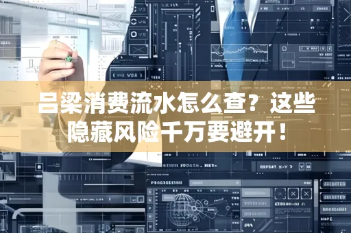 吕梁消费流水怎么查?这些隐藏风险千万要避开!