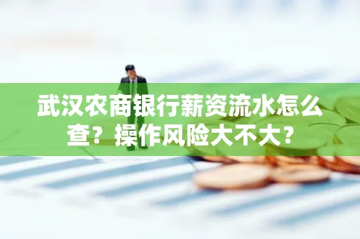 武汉农商银行薪资流水怎么查?操作风险大不大?