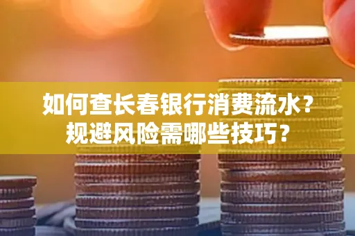 如何查长春银行消费流水?规避风险需哪些技巧?