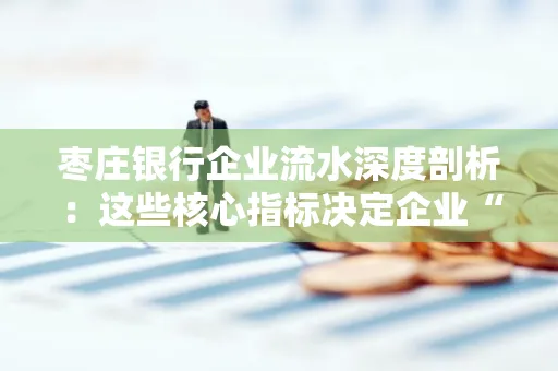枣庄银行企业流水深度剖析：这些核心指标决定企业“钱袋子”健康度