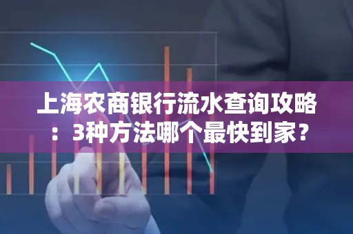 上海农商银行流水查询攻略：3种方法哪个最快到家？