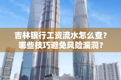 吉林银行工资流水怎么查？哪些技巧避免风险漏洞？