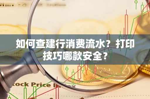 如何查建行消费流水？打印技巧哪款安全？